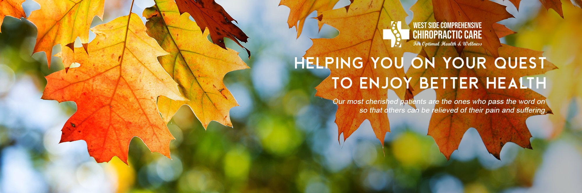 Chiropractor in New York, NY Chiropractor in New York, NY